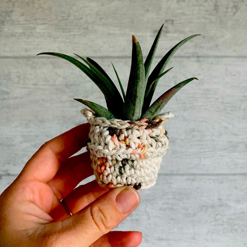 Handmade tiny crochet air plant pot